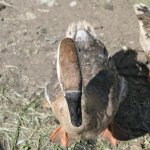 phoca_thumb_m_horeky  23 Fotogalerie